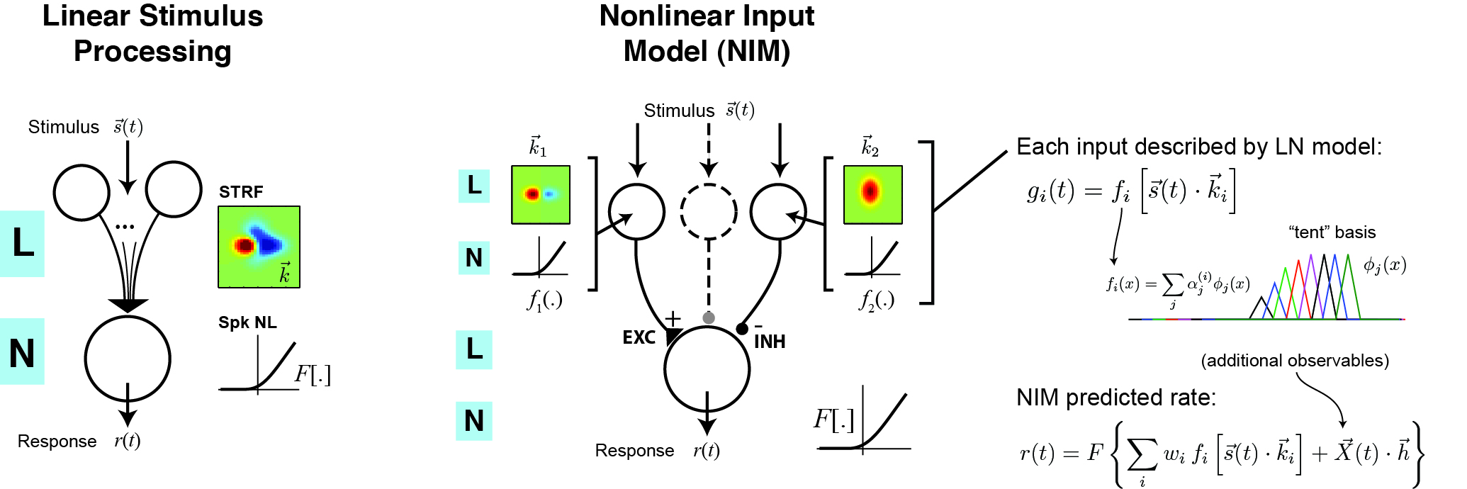 NIM Schematic